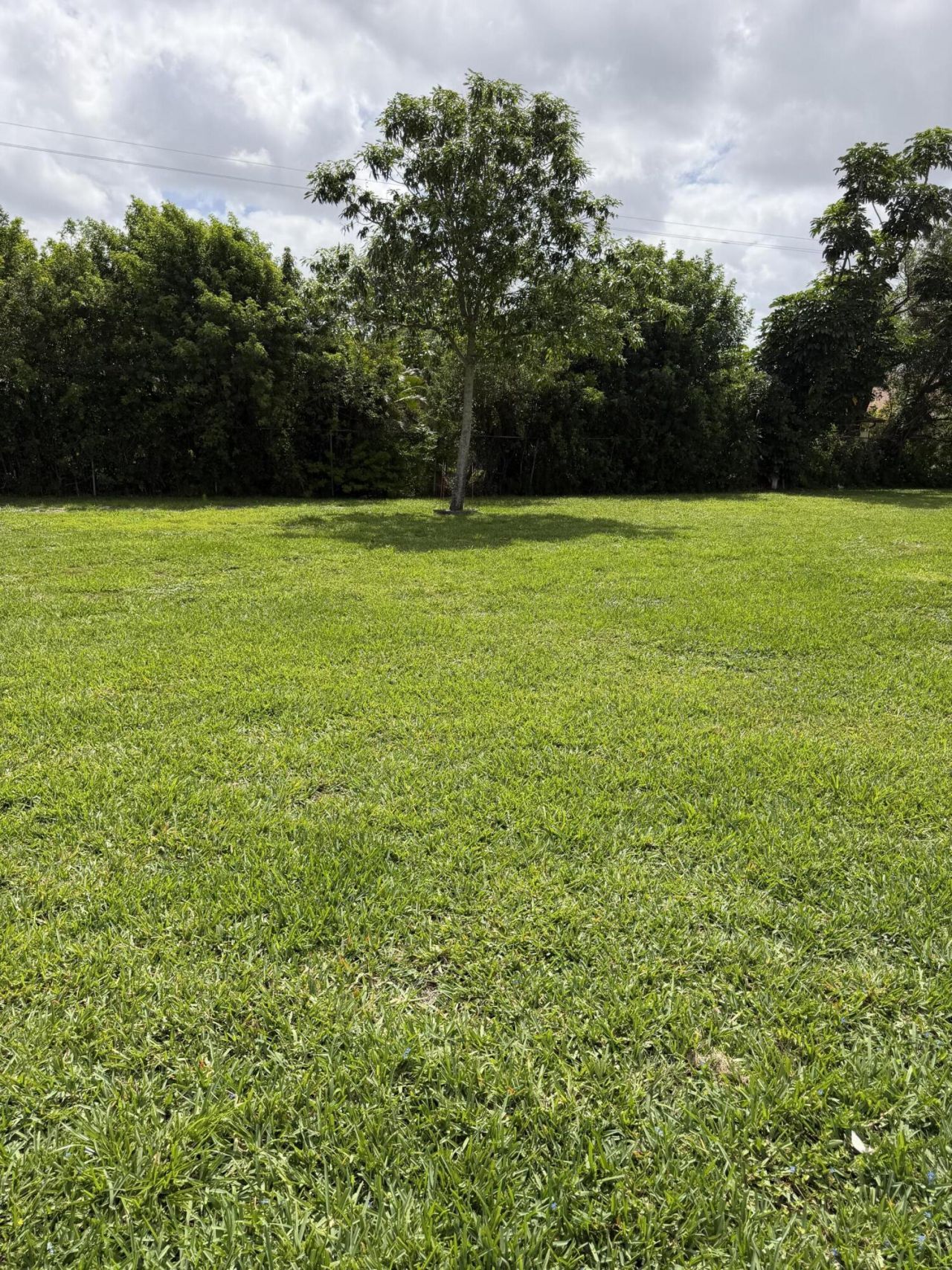 20867 Wendall Terrace, Boca Raton, FL 33433 Photo