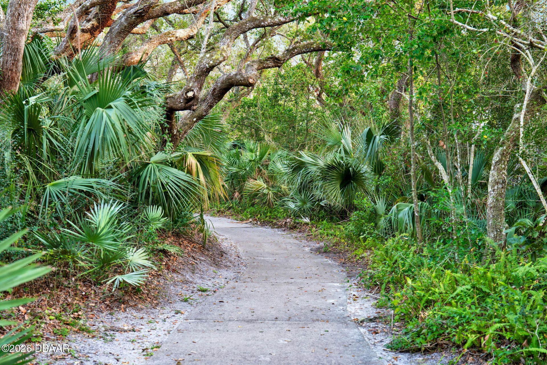 4405 Sea Mist Drive, Unit 216, New Smyrna Beach, FL 32169 Photo