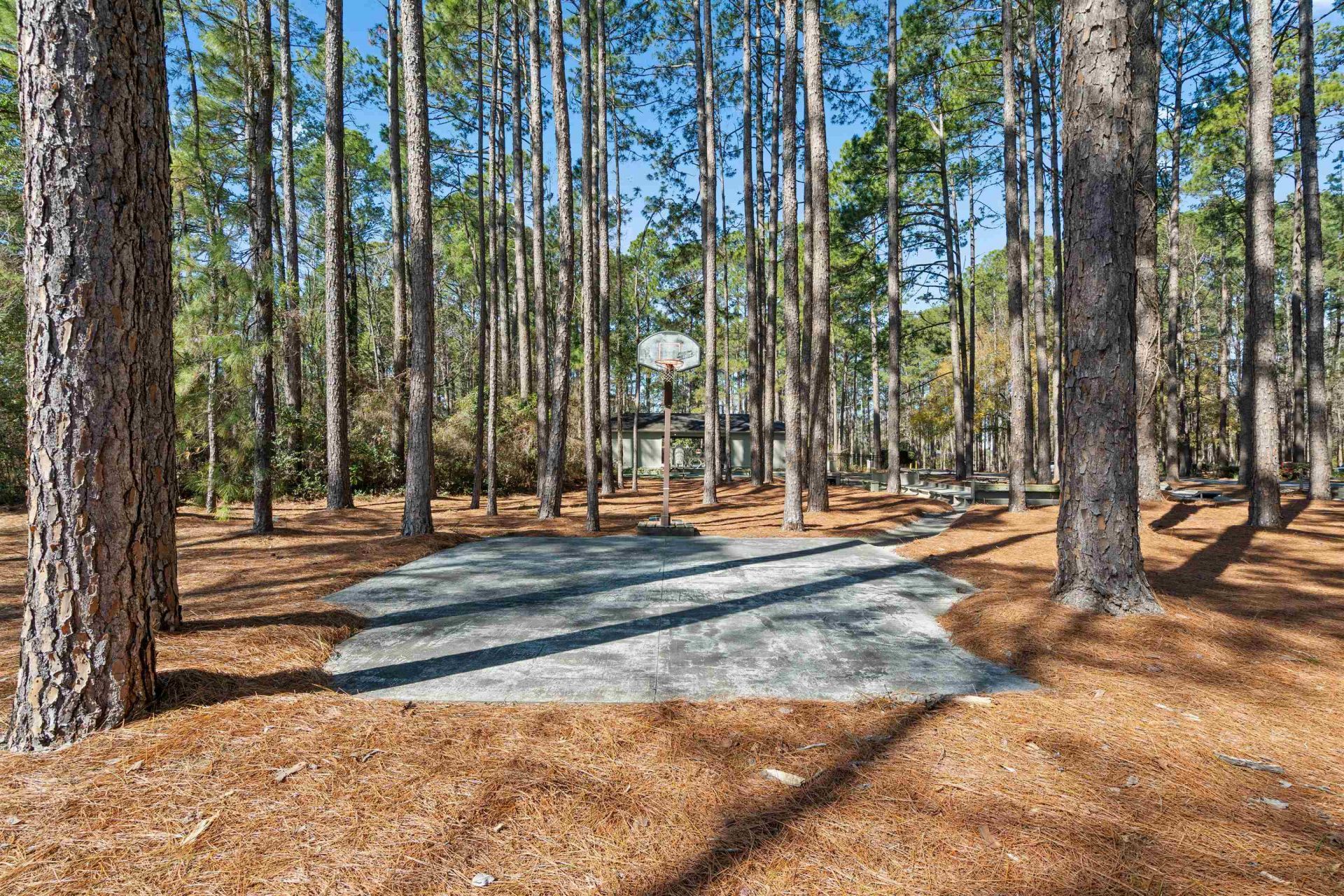 1209 Loblolly Ln. Photo 56