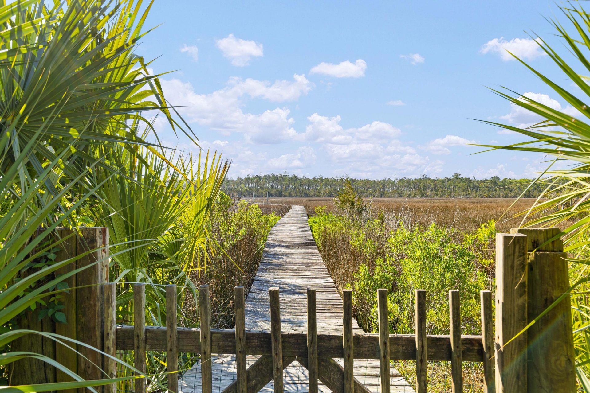 127 Drew Lane Photo 42