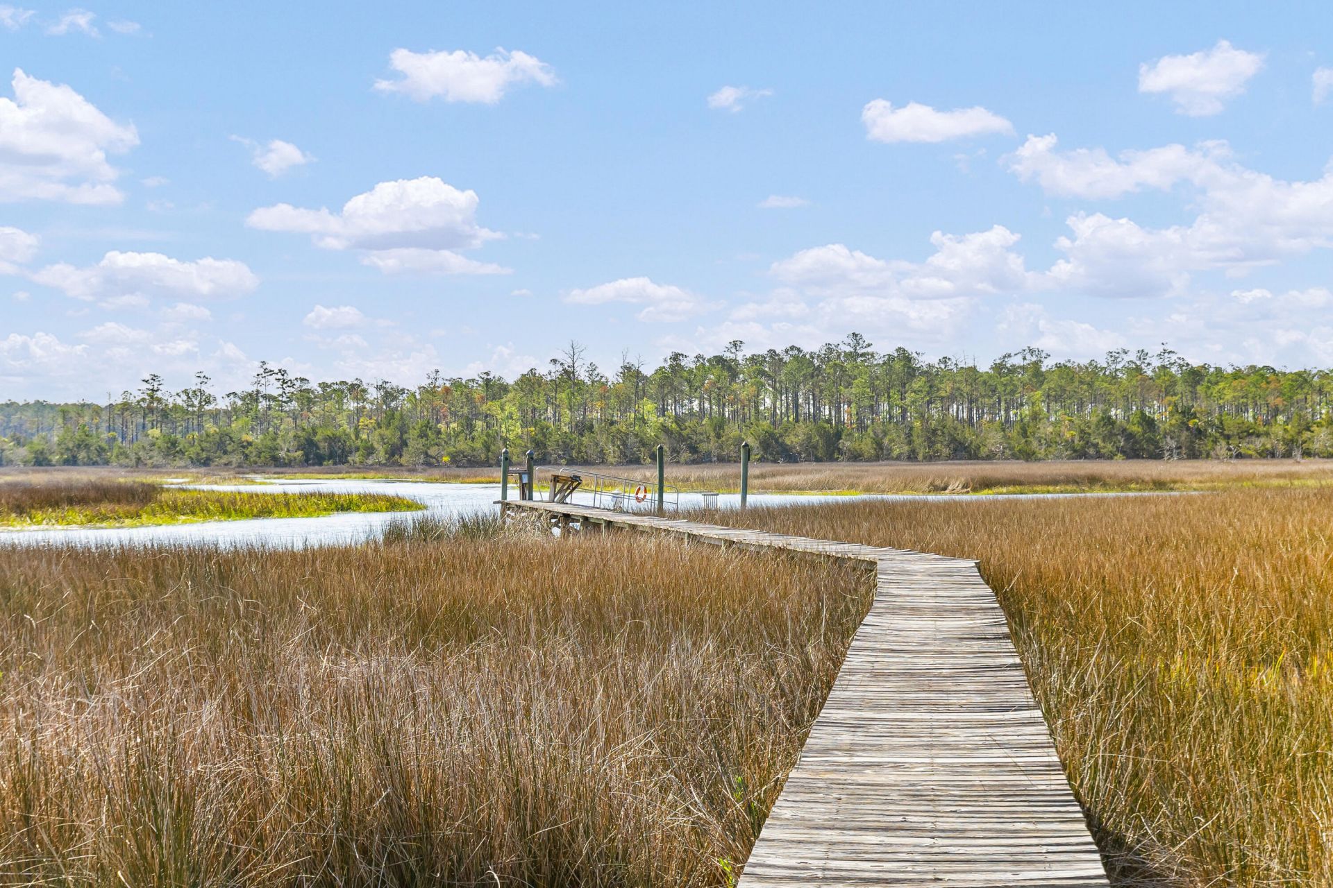 127 Drew Lane Photo 43