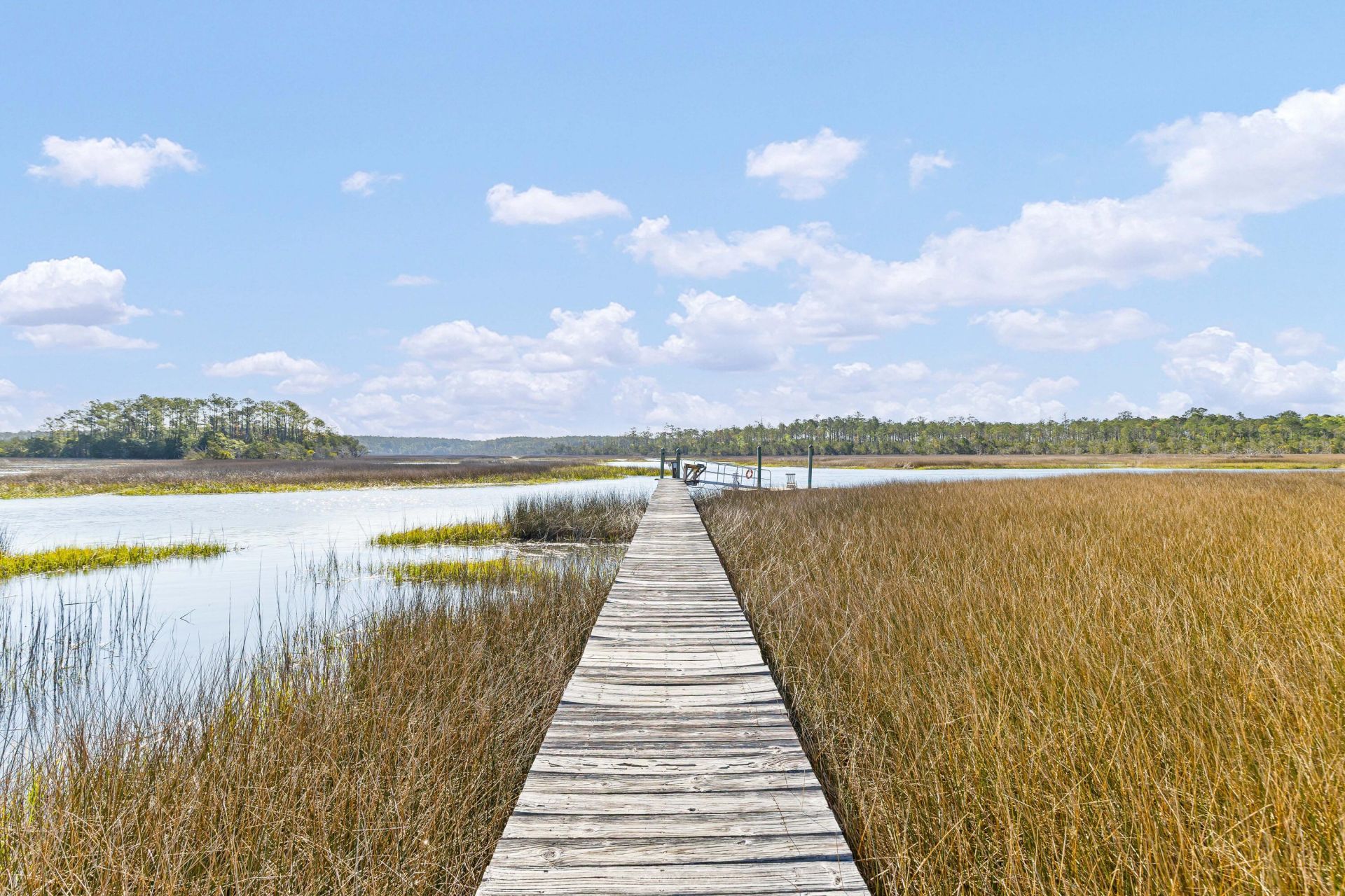 127 Drew Lane Photo 44