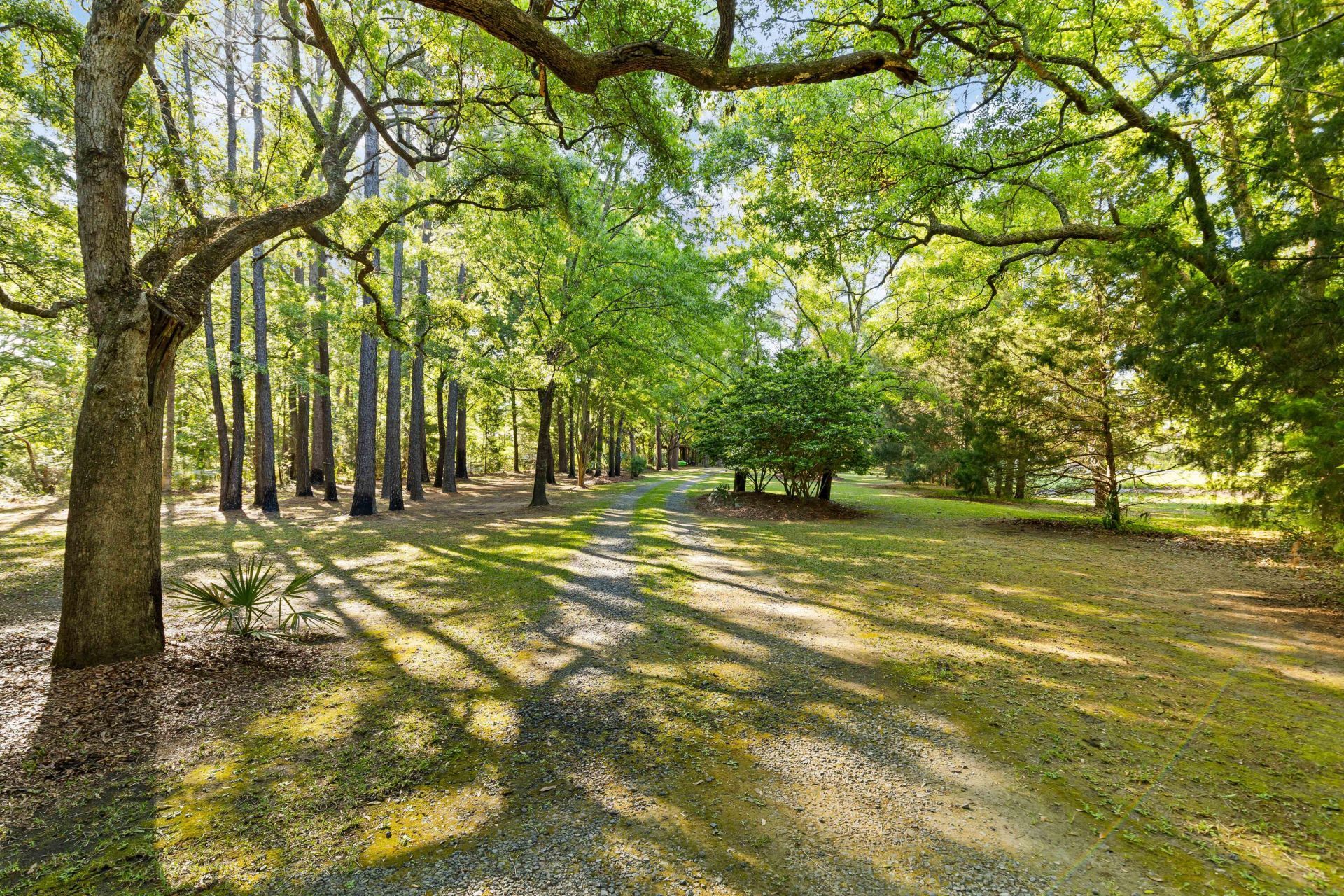 127 Drew Lane Photo 52