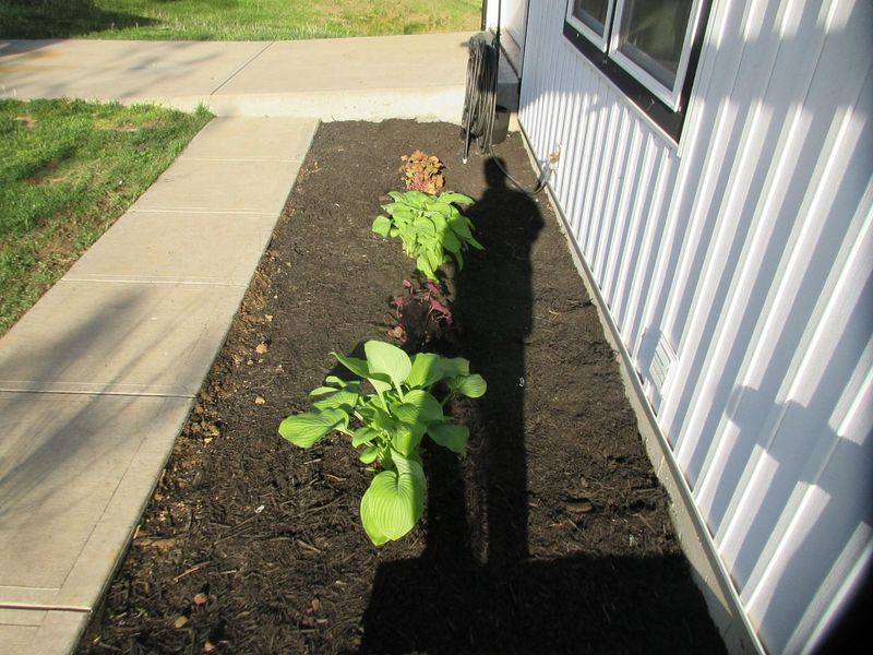 137 Ashley Drive, Dry Ridge, KY 41035 Photo 46