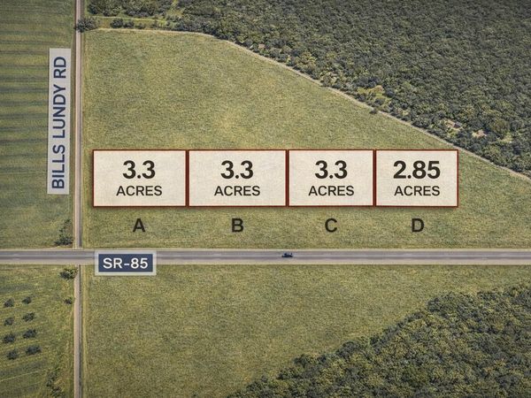 Parcel D N Highway 85, Laurel Hill, FL 32567