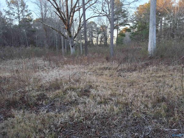 3.02 acres Euclid Road, Gadsden, AL 35903