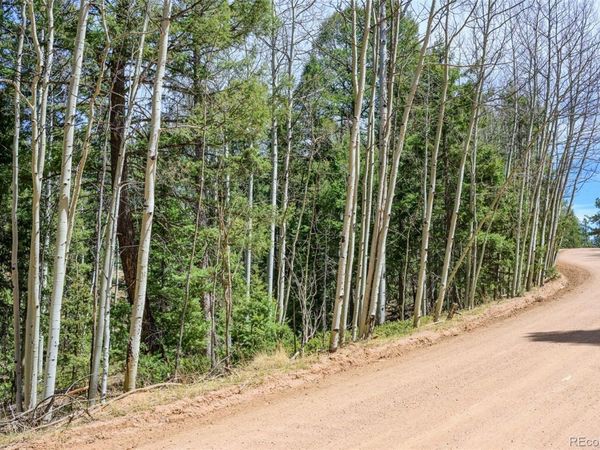 2763 N Mountain Estates Road , Florissant, CO 80816