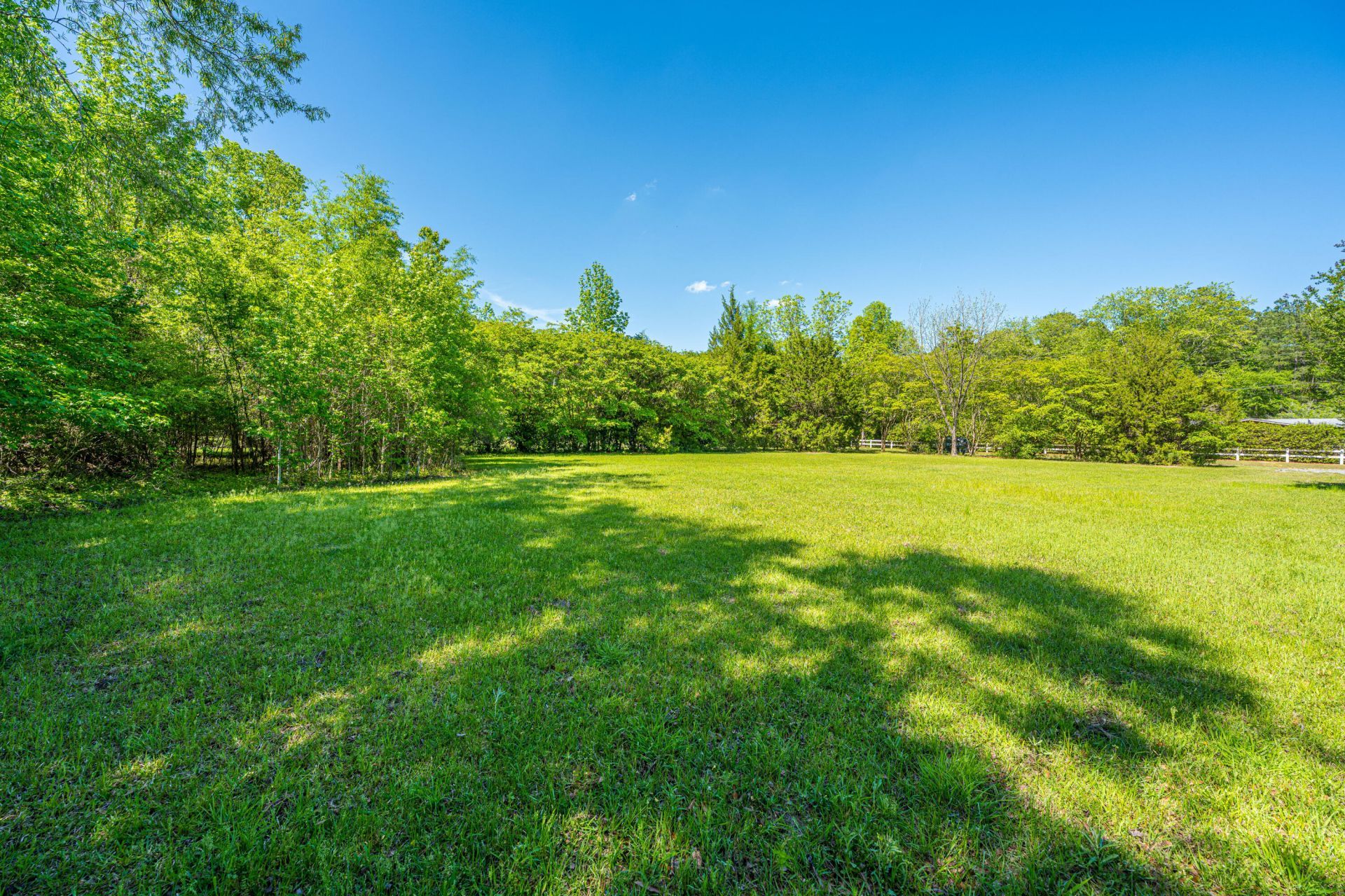 154 Rogers Branch Road Photo 29