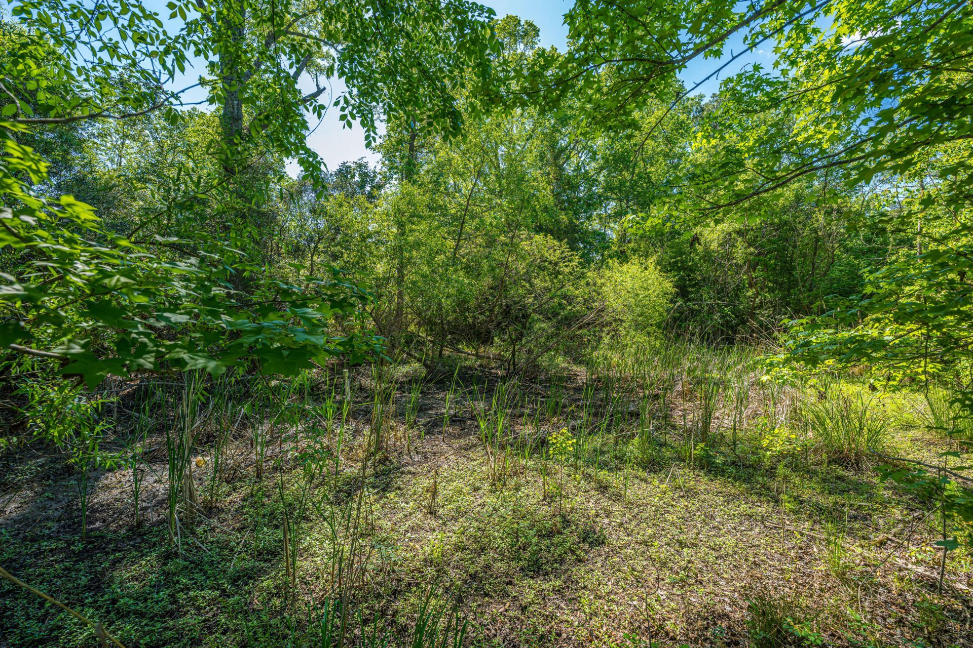 154 Rogers Branch Road Photo 31