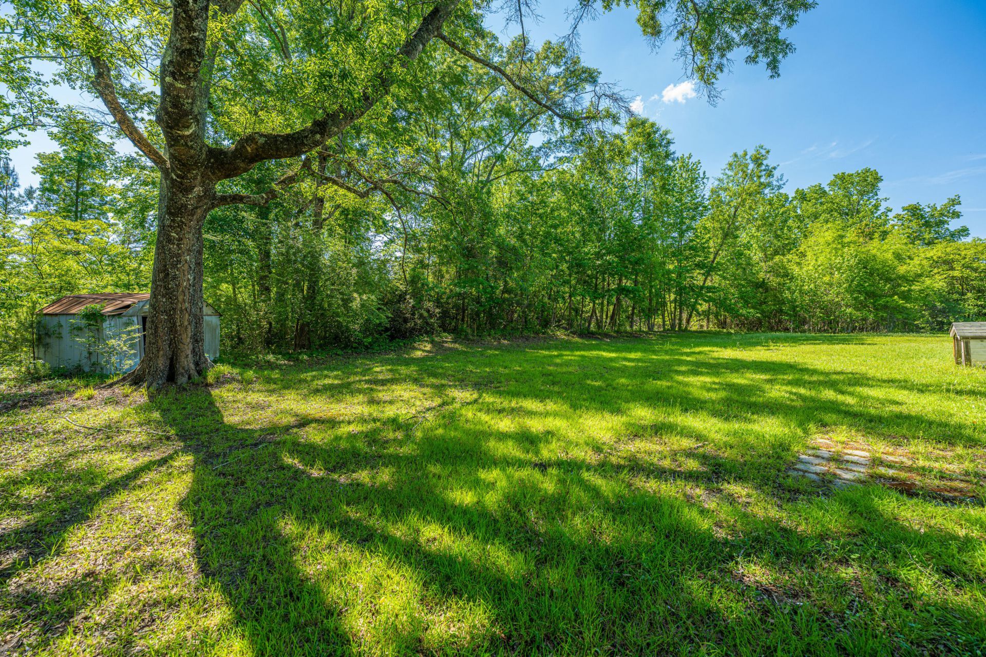 154 Rogers Branch Road Photo 46