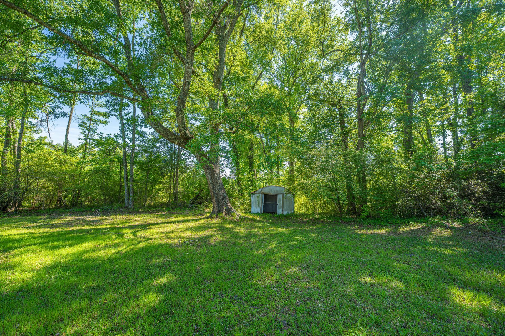 154 Rogers Branch Road Photo 48