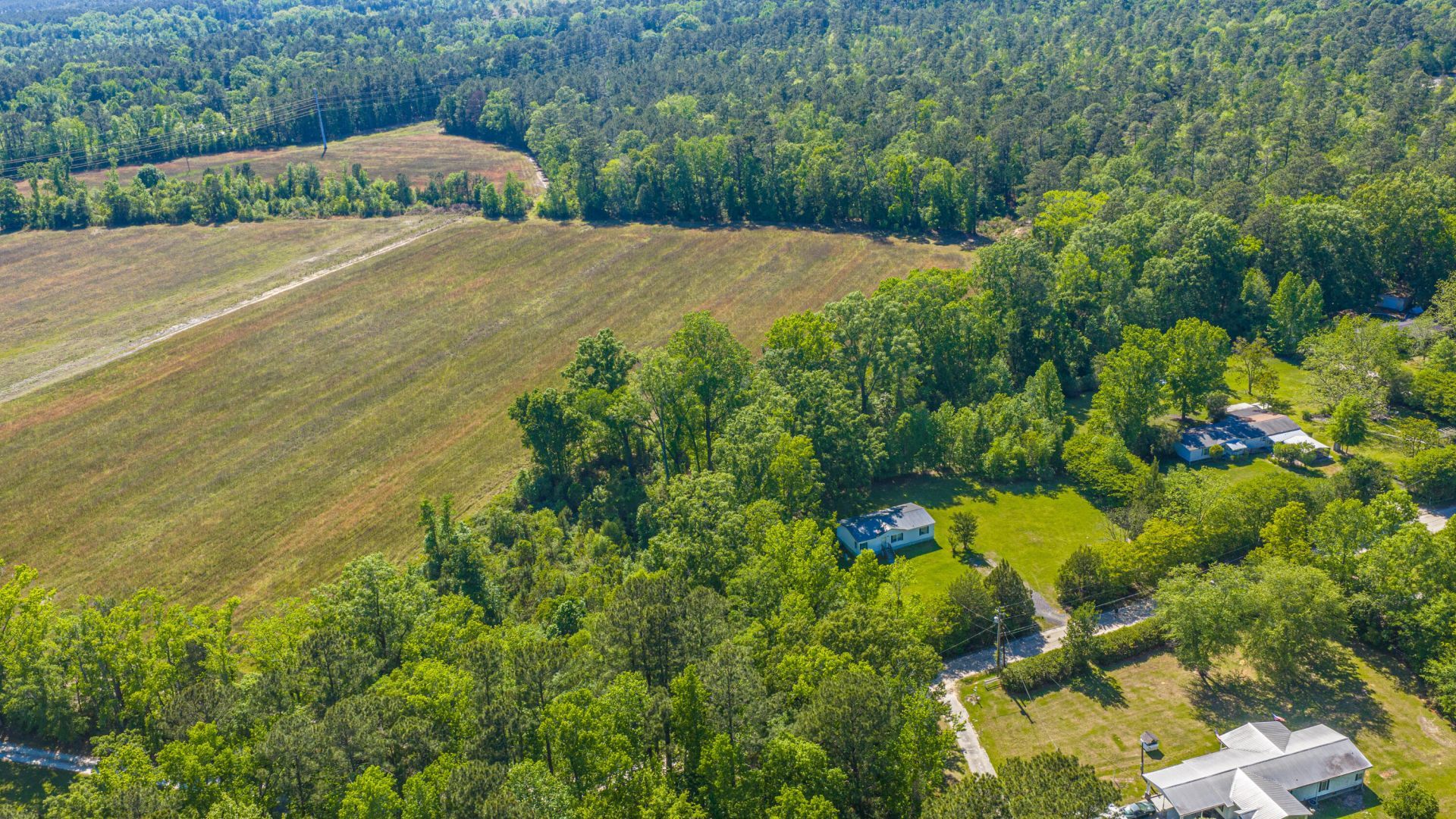 154 Rogers Branch Road Photo 59