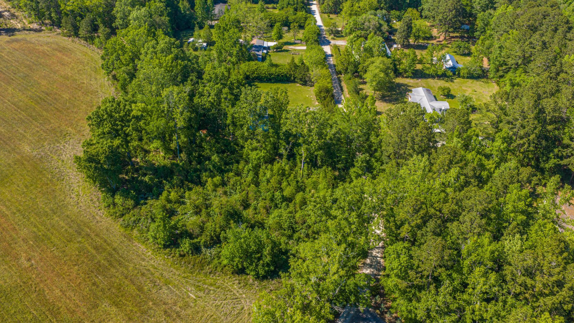 154 Rogers Branch Road Photo 62