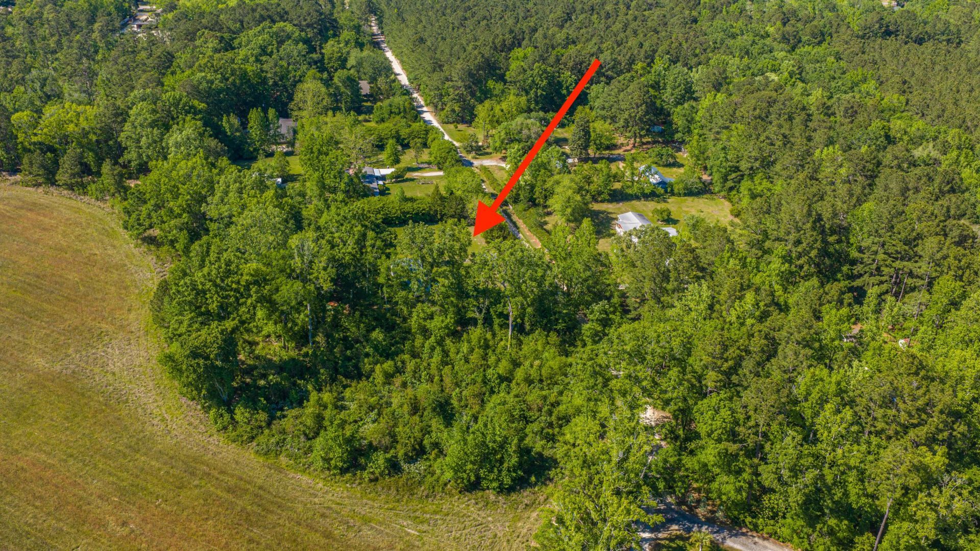 154 Rogers Branch Road Photo 77