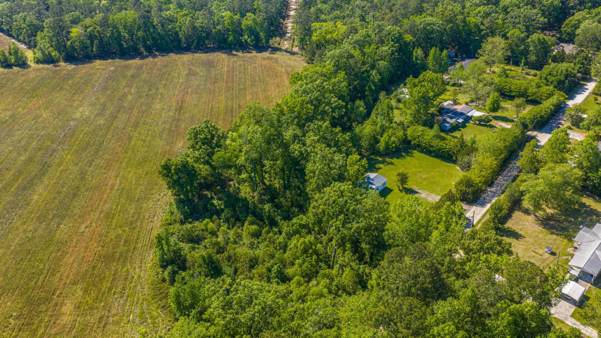 154 Rogers Branch Road Photo 79