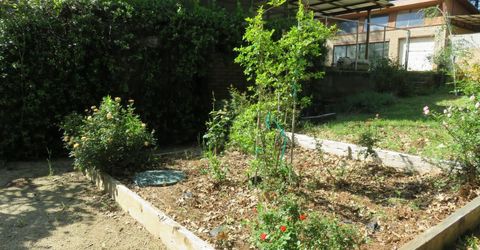 2400 Bald Mountain Rd, West Point, CA 95255 Photo