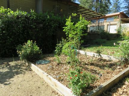 2400 Bald Mountain Rd, West Point, CA 95255 Photo