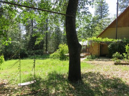 2400 Bald Mountain Rd, West Point, CA 95255 Photo