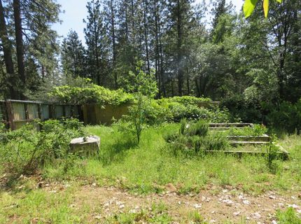 2400 Bald Mountain Rd, West Point, CA 95255 Photo