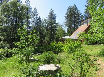 2400 Bald Mountain Rd, West Point, CA 95255 Photo