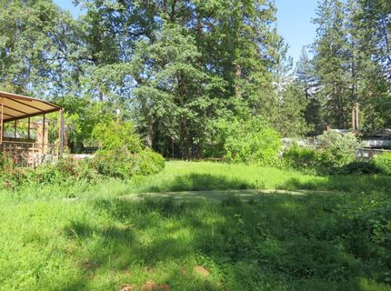 2400 Bald Mountain Rd, West Point, CA 95255 Photo