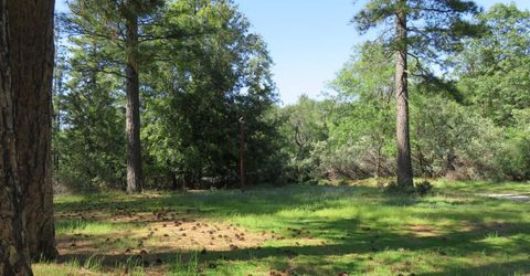 2400 Bald Mountain Rd, West Point, CA 95255 Photo