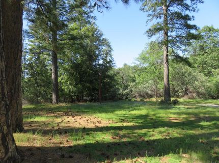 2400 Bald Mountain Rd, West Point, CA 95255 Photo
