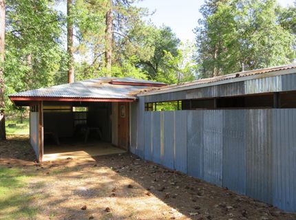 2400 Bald Mountain Rd, West Point, CA 95255 Photo