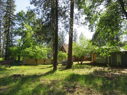 2400 Bald Mountain Rd, West Point, CA 95255 Photo