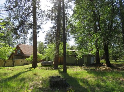 2400 Bald Mountain Rd, West Point, CA 95255 Photo