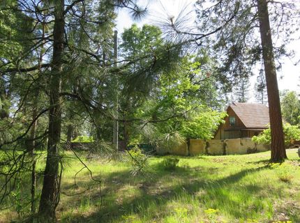 2400 Bald Mountain Rd, West Point, CA 95255 Photo