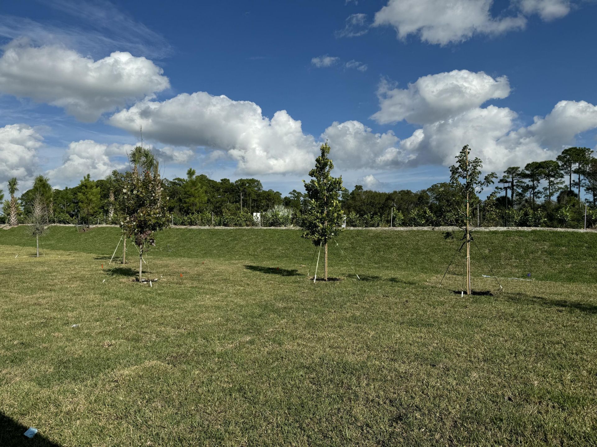 10445 NW Suncrest Lp, Port Saint Lucie, FL 34987 Photo