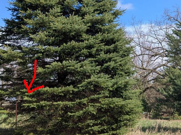 1003 Kent Street, Lake Isabella, MI 48893