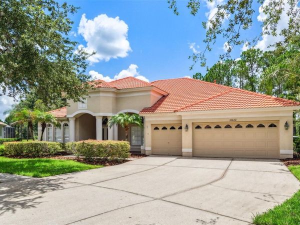 10222 ARBOR SIDE DRIVE , TAMPA, FL 33647