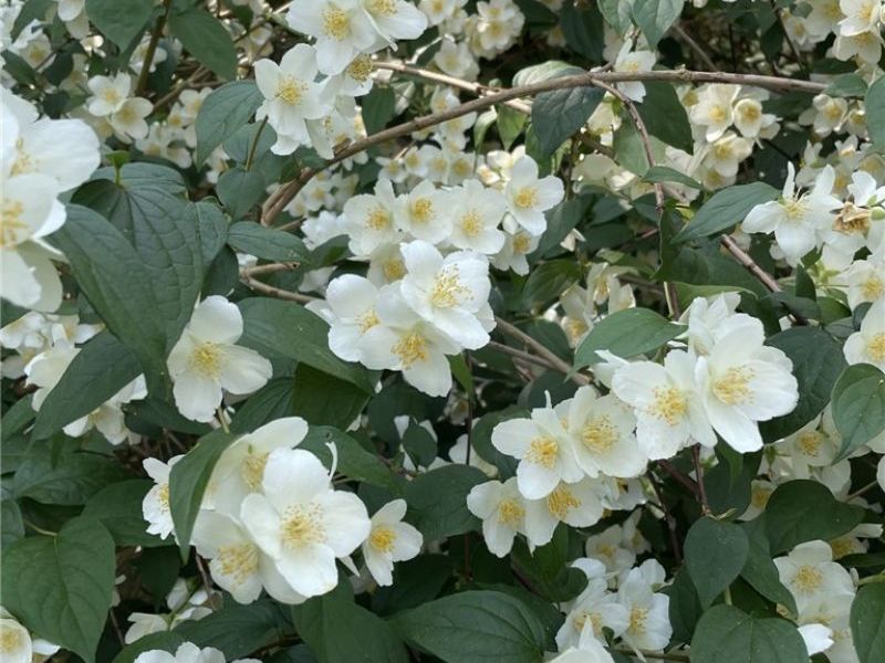 880 Markham Avenue , Cuyahoga Falls, OH 44221 Photo 36