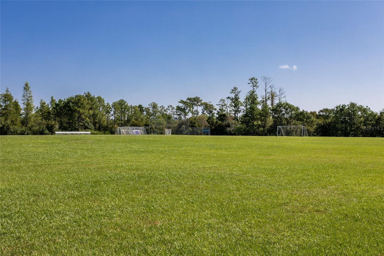 13225 Sharswood Circle, Orlando, FL 32828 Photo