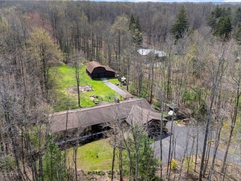 12435 Pearl Road, Chardon, OH 44024 Photo 46