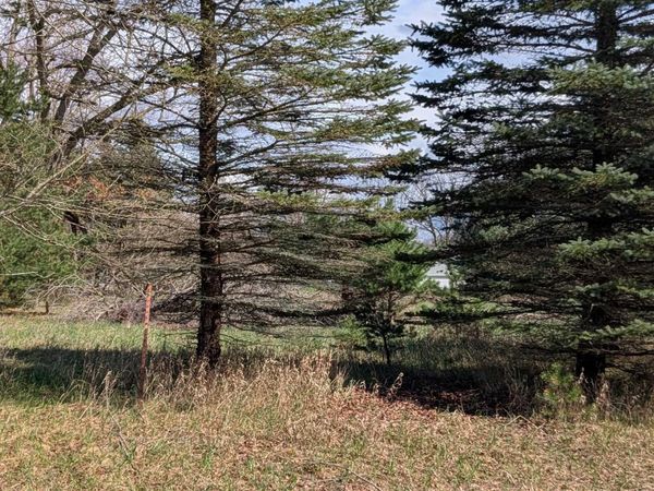 1005 Kent Street, Lake Isabella, MI 48893