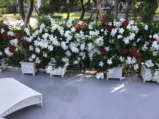 88181 Old Highway, Unit B3, Islamorada, FL 33036 Photo