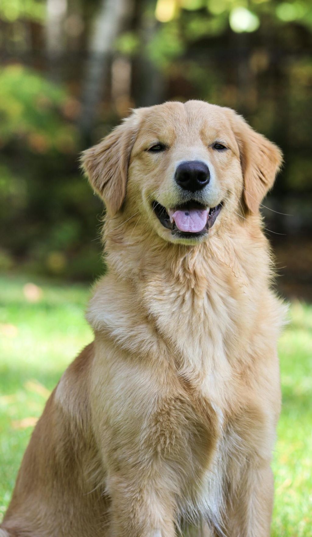 88181 Old Highway, Unit B3, Islamorada, FL 33036 Photo