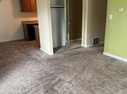 400 S Saliman Road, Unit APT 14, Carson City, NV 89701 Photo