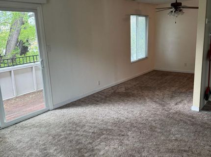 400 S Saliman Road, Unit APT 14, Carson City, NV 89701 Photo