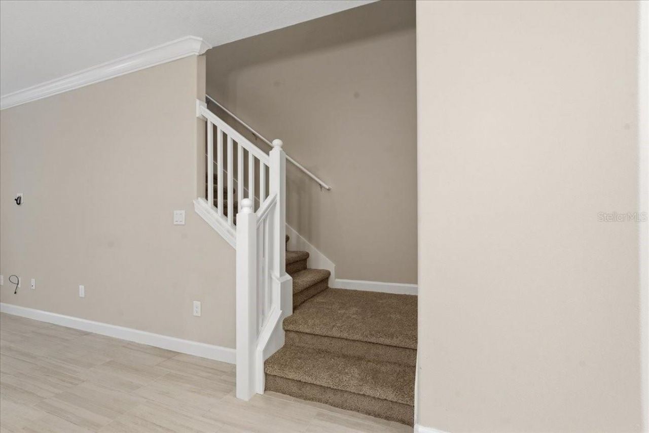 16673 Shell Bay Drive, Land O Lakes, FL 34638 Photo