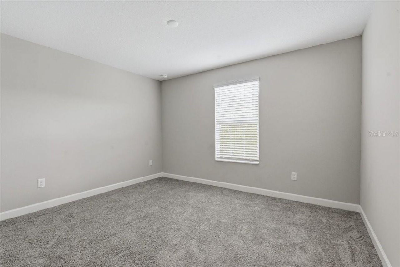 16673 Shell Bay Drive, Land O Lakes, FL 34638 Photo