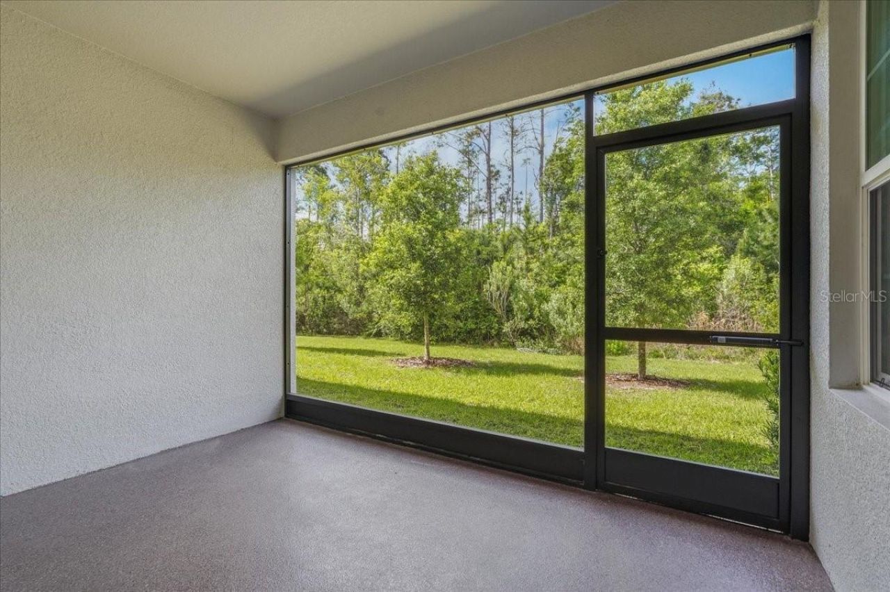 16673 Shell Bay Drive, Land O Lakes, FL 34638 Photo