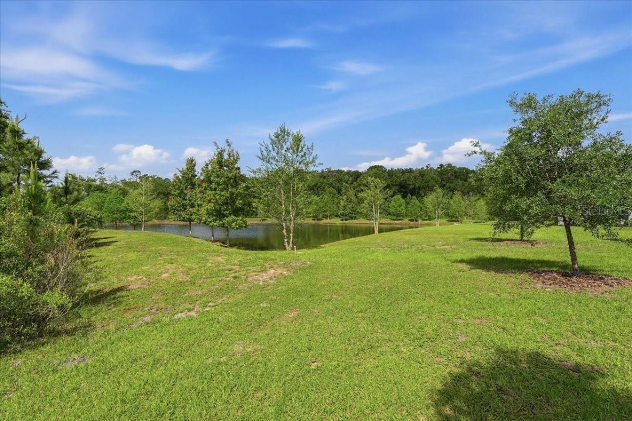 16673 Shell Bay Drive, Land O Lakes, FL 34638 Photo