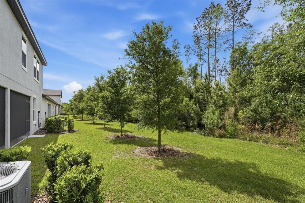 16673 Shell Bay Drive, Land O Lakes, FL 34638 Photo