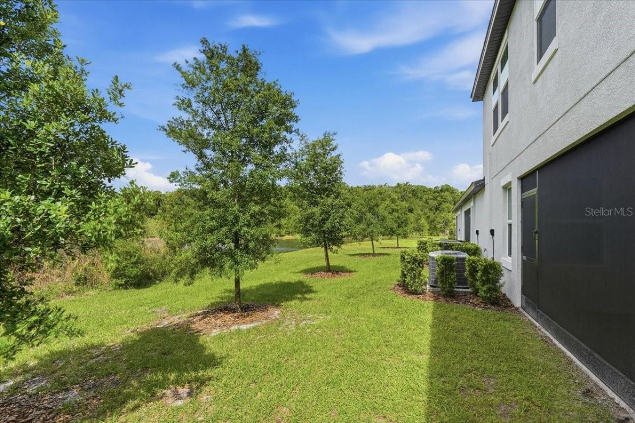 16673 Shell Bay Drive, Land O Lakes, FL 34638 Photo