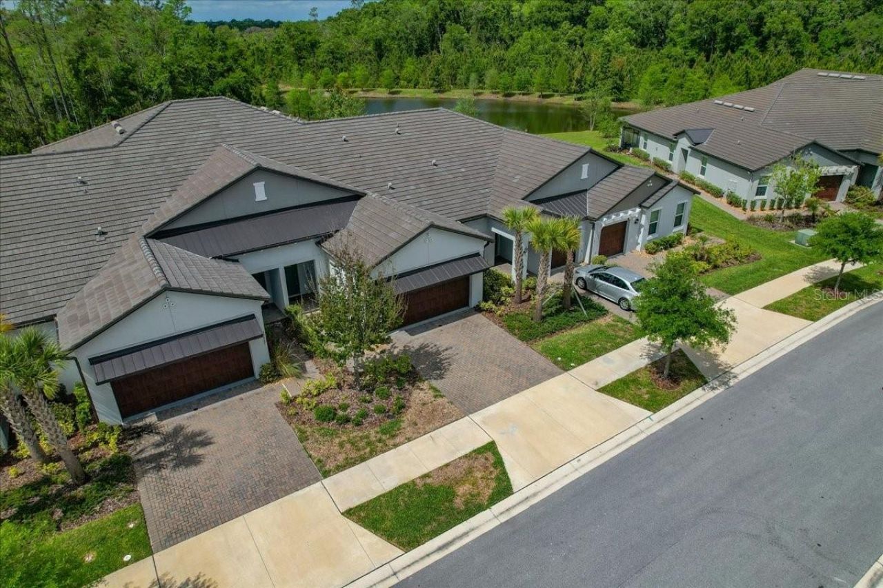 16673 Shell Bay Drive, Land O Lakes, FL 34638 Photo