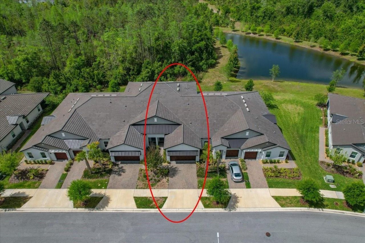 16673 Shell Bay Drive, Land O Lakes, FL 34638 Photo